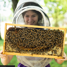 Load image into Gallery viewer, Bloom + Hive Hop City Tour