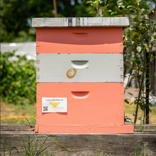 Load image into Gallery viewer, Bloom + Hive Hop City Tour