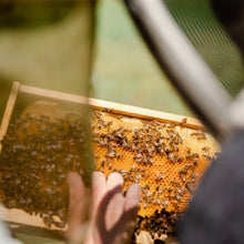 Load image into Gallery viewer, Host-a-Hive Partner