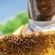 Load image into Gallery viewer, Beekeeping Apprenticeship