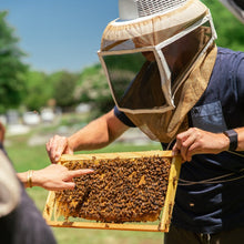 Load image into Gallery viewer, Beekeeping Apprenticeship