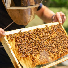 Load image into Gallery viewer, Host-a-Hive Partner