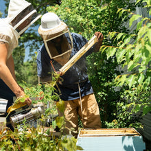 Load image into Gallery viewer, Beekeeping Apprenticeship