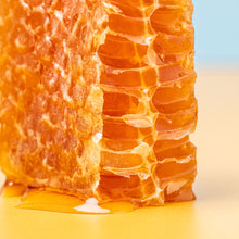 Load image into Gallery viewer, Beekeeping Apprenticeship