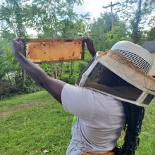Load image into Gallery viewer, Bee S'cool
