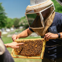 Load image into Gallery viewer, Beekeeping Apprenticeship
